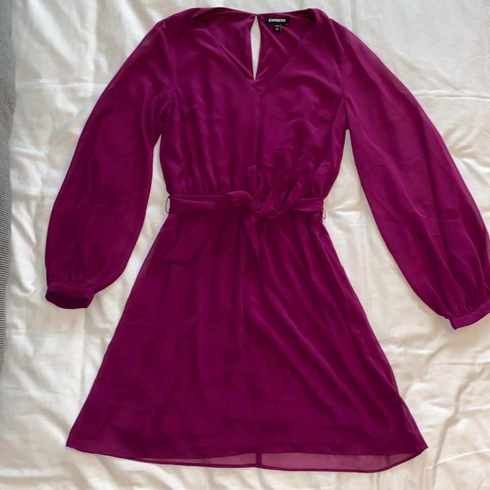 Express Long Sleeved Magenta Dress